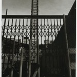 "Coney Island"