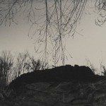 [Untitled]