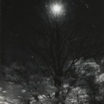 [Untitled]