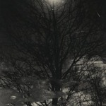 [Untitled]