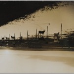 [Untitled] (Florida)
