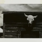Ghost Town, New Mexico