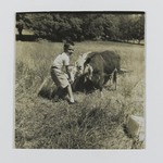 [Untitled] (Boy Feeding Cow)