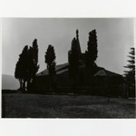 [Untitled]