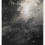 [Untitled] (Fall Afternoon)