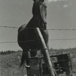 [Untitled]