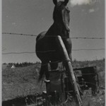 [Untitled]