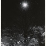 [Untitled] (Pond Reflections)