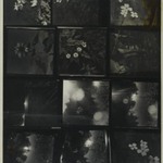 [Untitled]