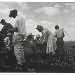 [Untitled] (Muckworkers)