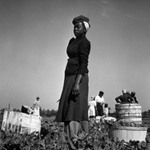 [Untitled] (Young Woman)