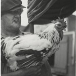 Man with Rooster, New York