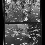 [Untitled]