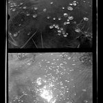 [Untitled]