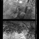 [Untitled]