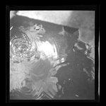 [Untitled]