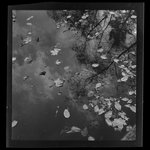 [Untitled]