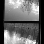 [Untitled]