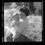 [Untitled]