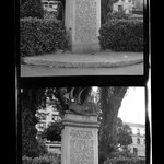 [Untitled]