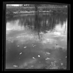 [Untitled]