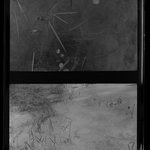 [Untitled]