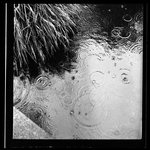 [Untitled]