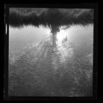 [Untitled]