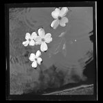 [Untitled]