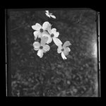 [Untitled]