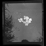 [Untitled]
