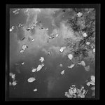 [Untitled]