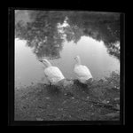 [Untitled]