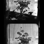 [Untitled]