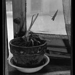 [Untitled]