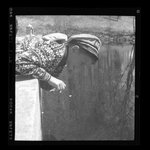 [Untitled]