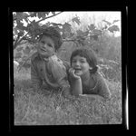[Untitled]