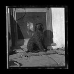 [Untitled]