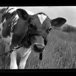 [Untitled]