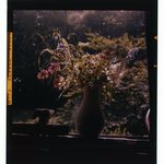 [Untitled]