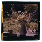 [Untitled]