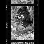 [Untitled]