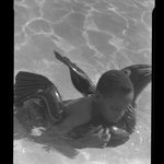 [Untitled]