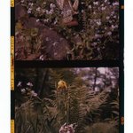 [Untitled]