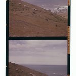 [Untitled]