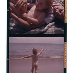 [Untitled]