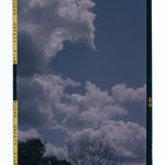 [Untitled]