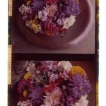 [Untitled]