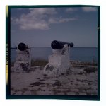[Untitled]