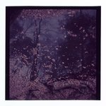 [Untitled]